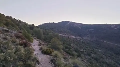 Un incendio en Biar arrasa con 2, 5 hectáreas de monte Un incendio en Biar arrasa con 2, 5 hectáreas de monte