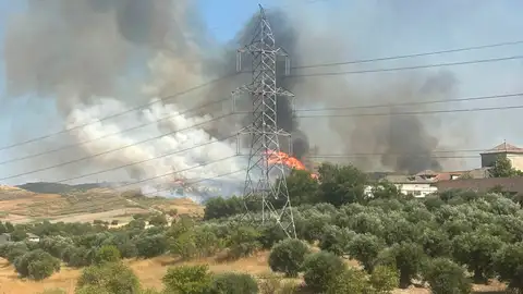Imagen del incendio forestal en el término de Loeches, Comunidad de Madrid Imagen del incendio forestal en el término de Loeches, Comunidad de Madrid