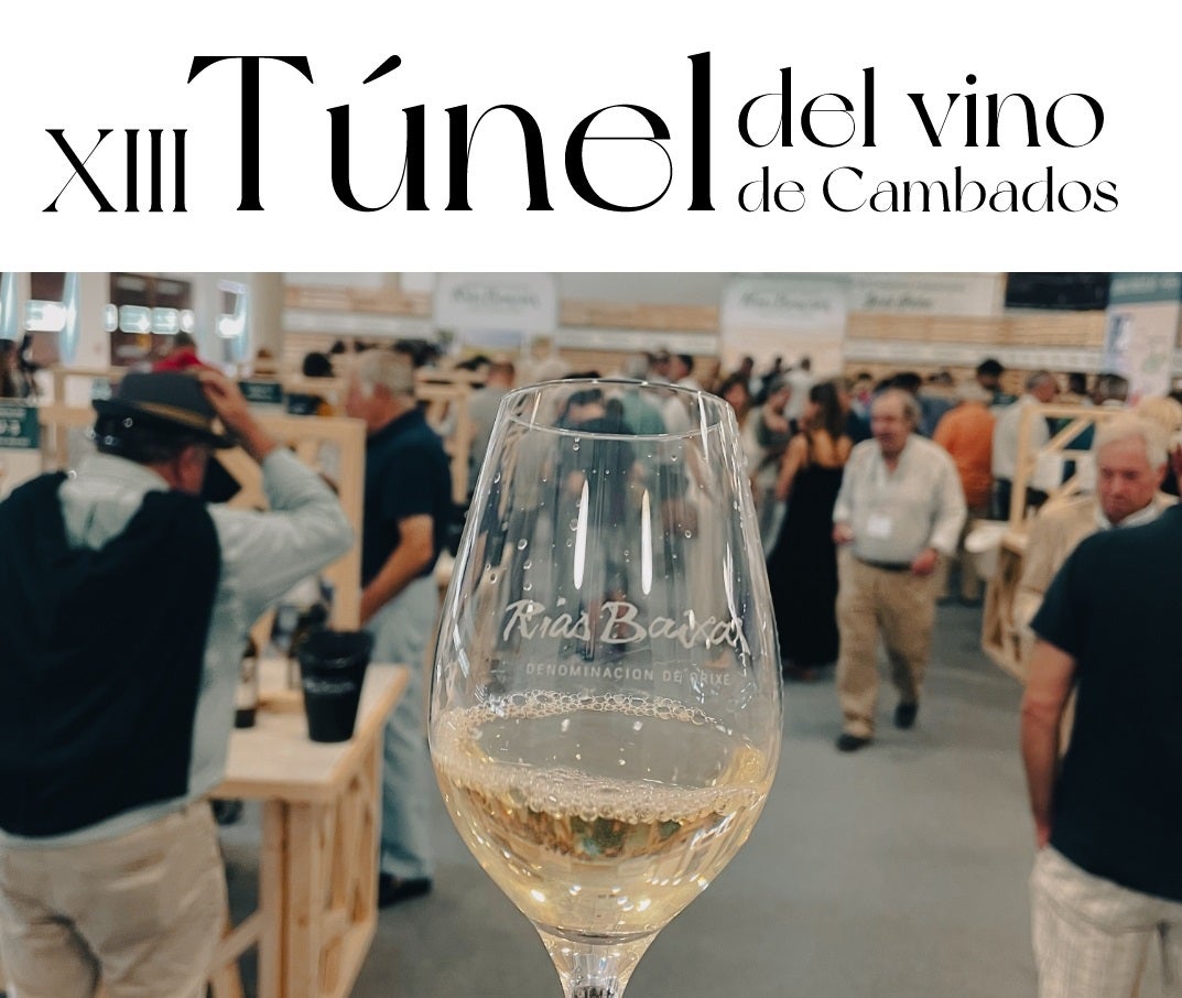 El XIII Túnel del Vino abre sus puertas en el Salón Jose Peña de Cambados El XIII Túnel del Vino abre sus puertas en el Salón Jose Peña de Cambados