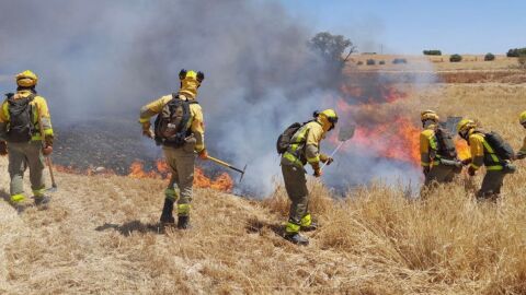 Brigadas forestales se suman a las labores de contenci&oacute;n y extinci&oacute;n de un incendio en Loeches