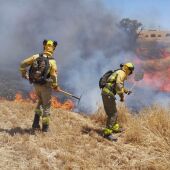 Un gran incendio forestal en Loeches calcina 600 hectáreas de terreno y obliga a desalojar temporalmente de sus casas a 60 vecinos 