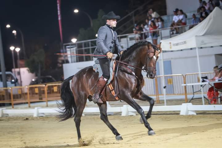 La Feria de Ganado de Dolores cumple diez años superando todas las expectativas de participación y visitantes La Feria de Ganado de Dolores cumple diez años superando todas las expectativas de participación y visitantes