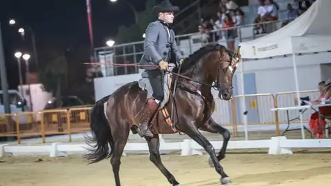Los concursos inician esta edición de FEGADO Los concursos inician esta edición de FEGADO