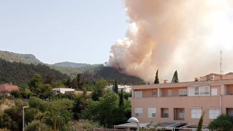 Incendio forestal en La Alberca (Murcia)