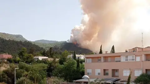 Incendio forestal en La Alberca (Murcia) Incendio forestal en La Alberca (Murcia)