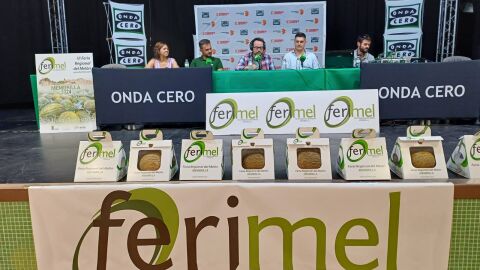 FERIMEL VI edici&oacute;n