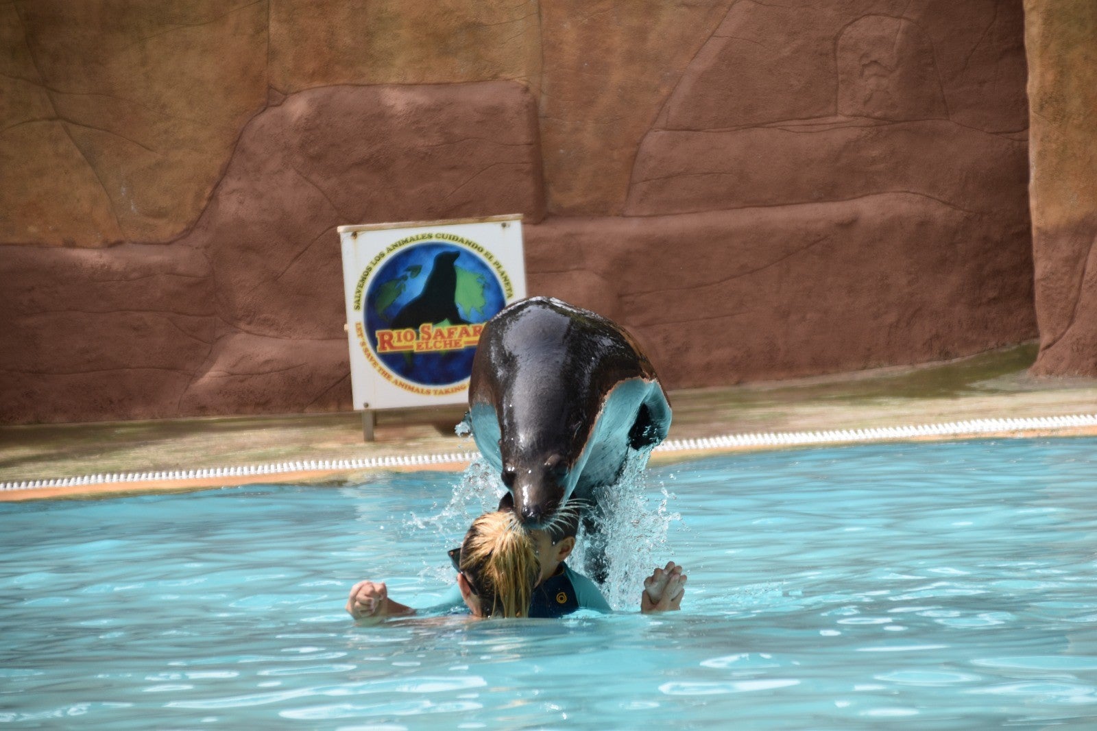 Río Safari Elche alcanza su récord histórico con 170.000 visitantes en 2025 Río Safari Elche alcanza su récord histórico con 170.000 visitantes en 2025