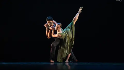 Albiru - Na Floresta Albiru - Na Floresta