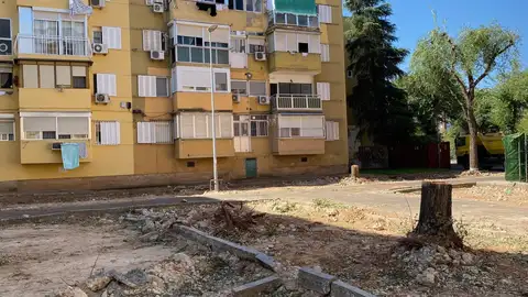 El PSOE local de Badajoz critica que siguen los cortes de árboles en La Paz El PSOE local de Badajoz critica que siguen los cortes de árboles en La Paz