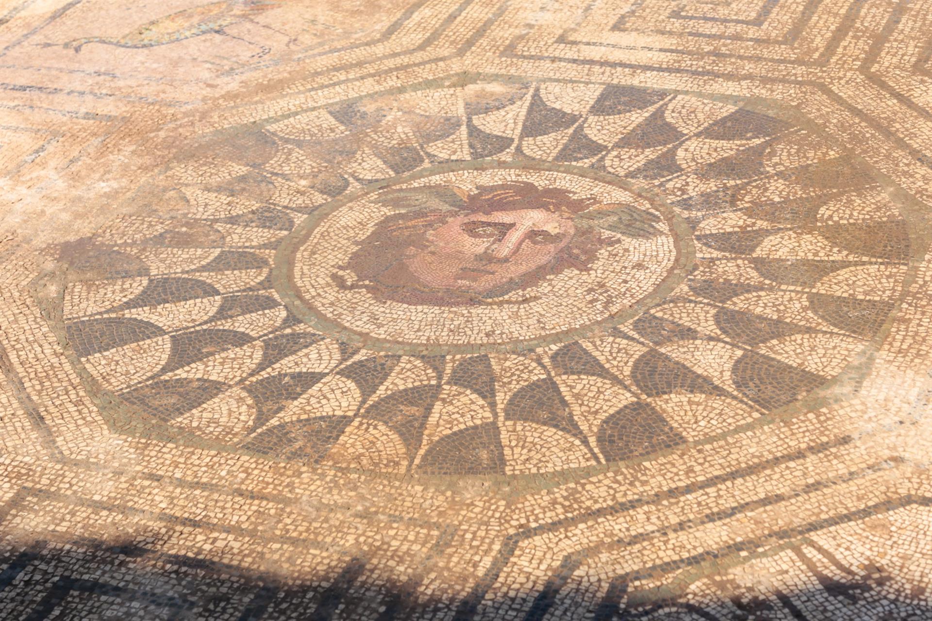 National Geographic nomina como Mejor Hallazgo Histórico Nacional al mosaico de Medusa de la Huerta de Otero de Mérida National Geographic nomina como Mejor Hallazgo Histórico Nacional al mosaico de Medusa de la Huerta de Otero de Mérida