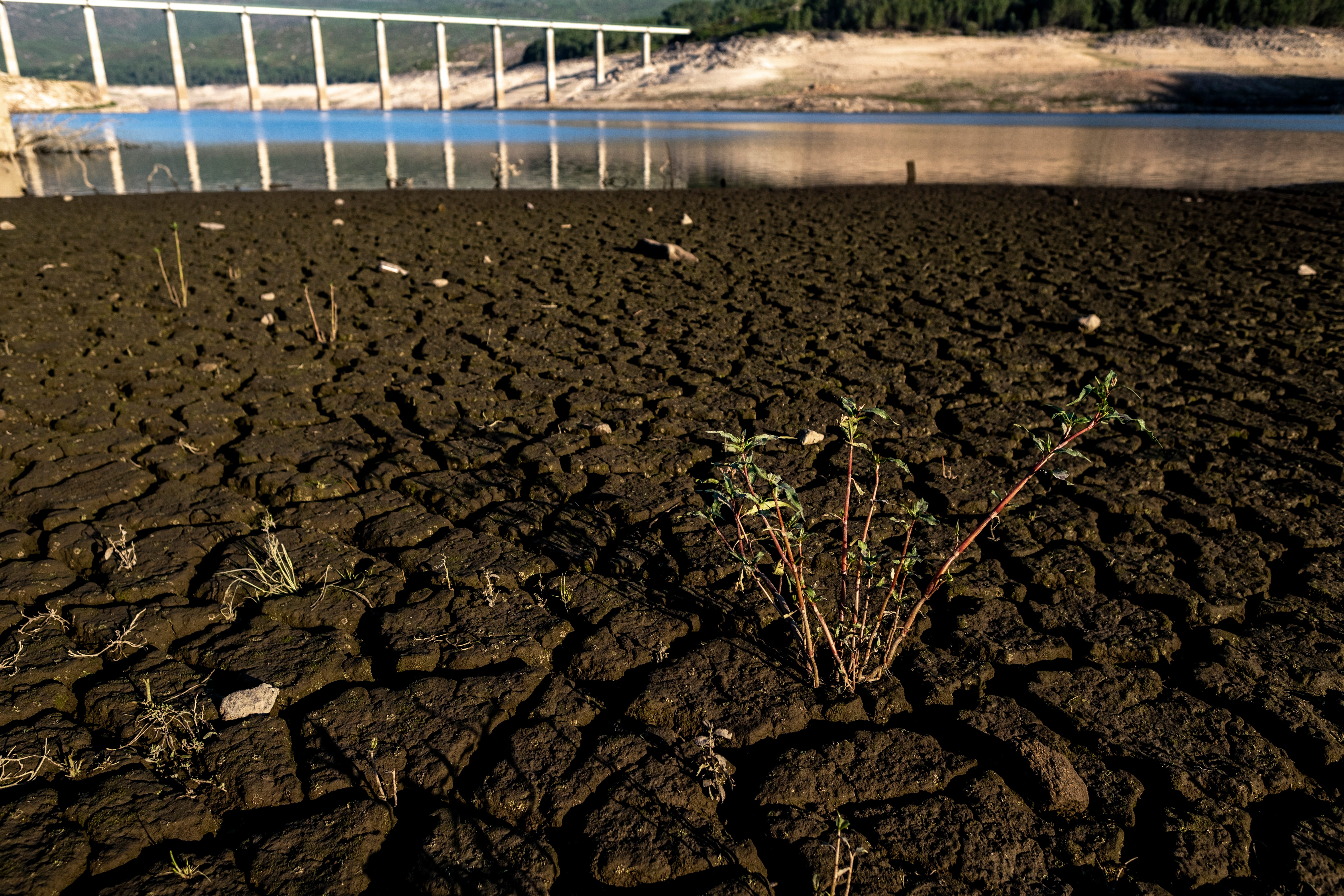 El sistema Turia entra en prealerta por sequía ante el calor y la escasez de lluvia El sistema Turia entra en prealerta por sequía ante el calor y la escasez de lluvia