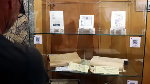 Muestra sobre piaonlas en Benidorm Muestra sobre piaonlas en Benidorm