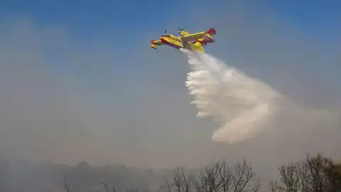 Prevención de incendios forestales: ¿algún país lo está haciendo bien? Prevención de incendios forestales: ¿algún país lo está haciendo bien?