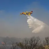 Prevención de incendios forestales: ¿algún país lo está haciendo bien? Prevención de incendios forestales: ¿algún país lo está haciendo bien?