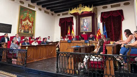 Pleno municipal extraordinario en el Ayuntamiento de Elche celebrado este lunes. Pleno municipal extraordinario en el Ayuntamiento de Elche celebrado este lunes.
