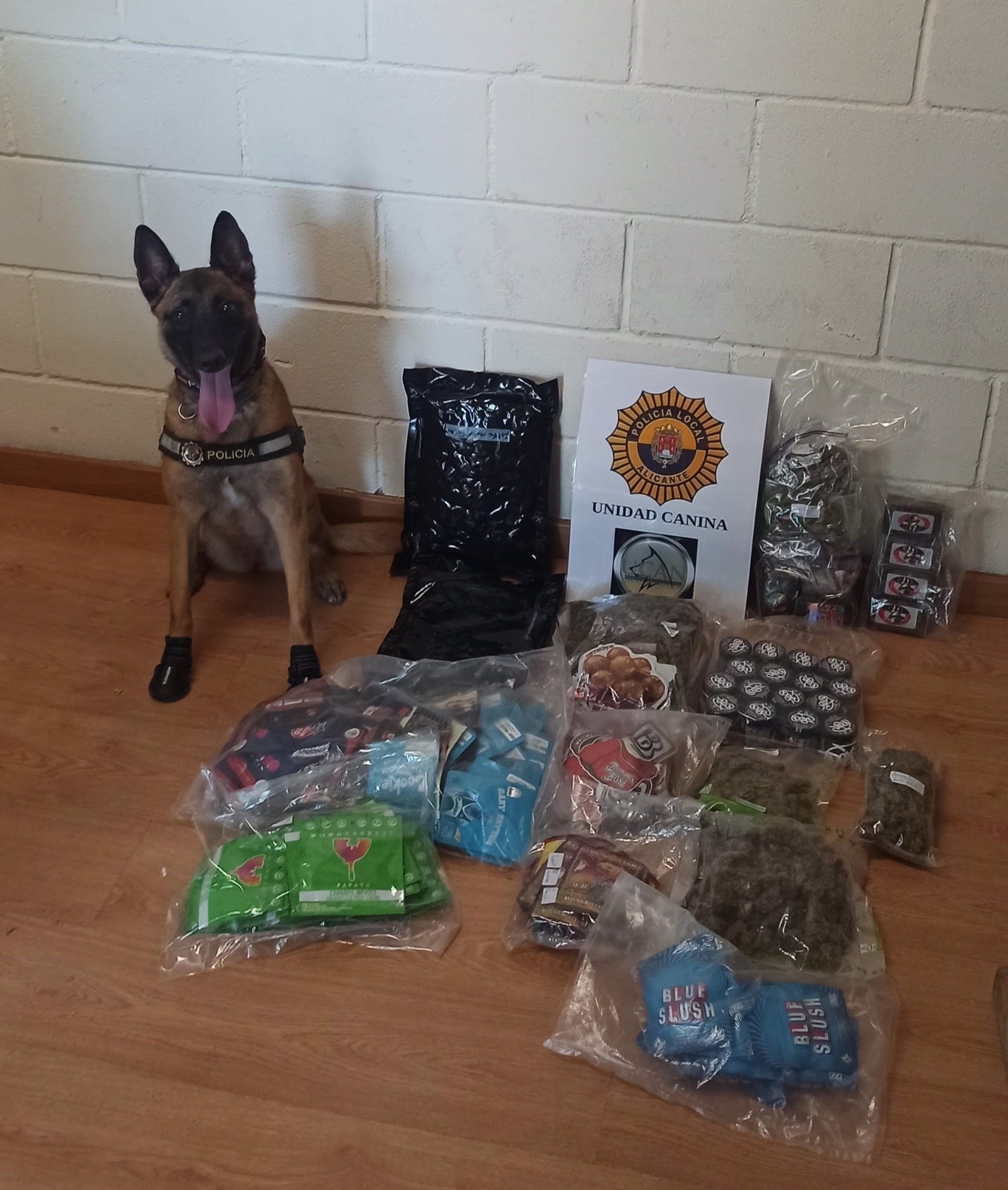 Detenido en Alicante un viajero con 5,5 kilos de hachís y marihuana en la estación de autobuses Detenido en Alicante un viajero con 5,5 kilos de hachís y marihuana en la estación de autobuses