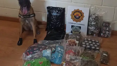 Detenido en Alicante con 5,5 kilos de hachís y marihuana mientras viajaba en autobús de Algeciras a Barcelona Detenido en Alicante con 5,5 kilos de hachís y marihuana mientras viajaba en autobús de Algeciras a Barcelona