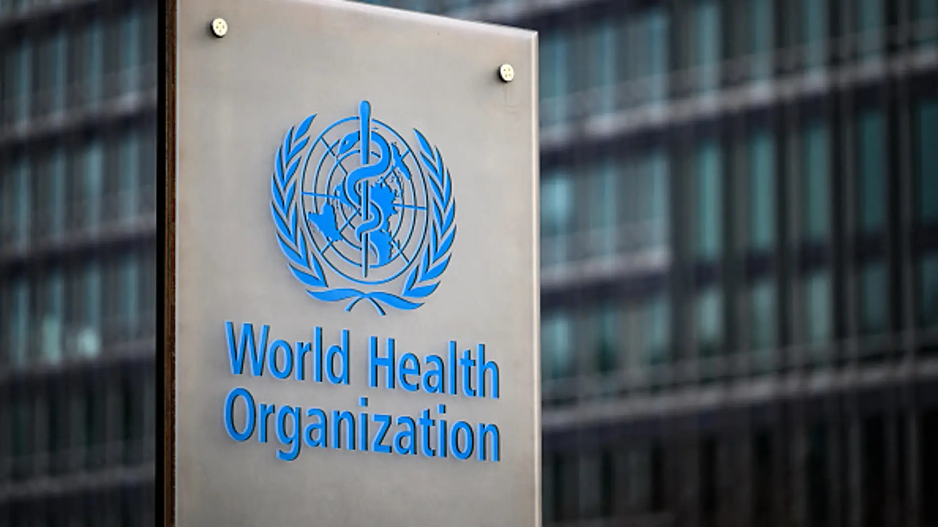 Logo de la Organización Mundial de la Salud (OMS). Logo de la Organización Mundial de la Salud (OMS).