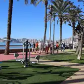 Parque de Elche de Benidorm Parque de Elche de Benidorm