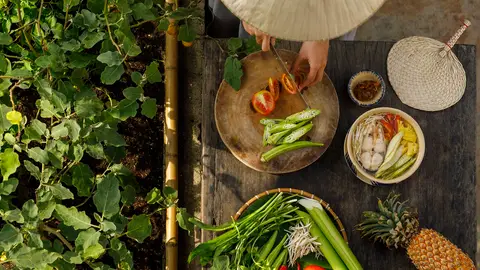 Comida viajera Comida viajera