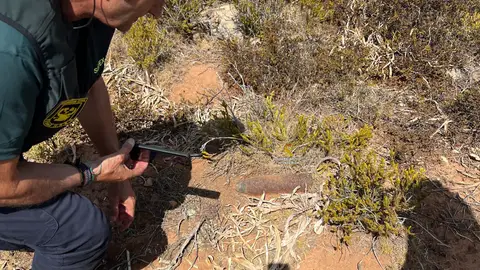 Agente de la Guardia Civil con el artefacto desactivado. Agente de la Guardia Civil con el artefacto desactivado.