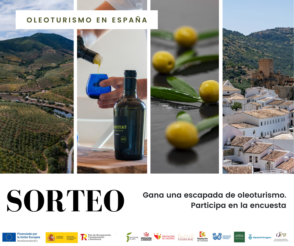 La Diputación de Cáceres trabaja en el impulso del Oleoturismo La Diputación de Cáceres trabaja en el impulso del Oleoturismo