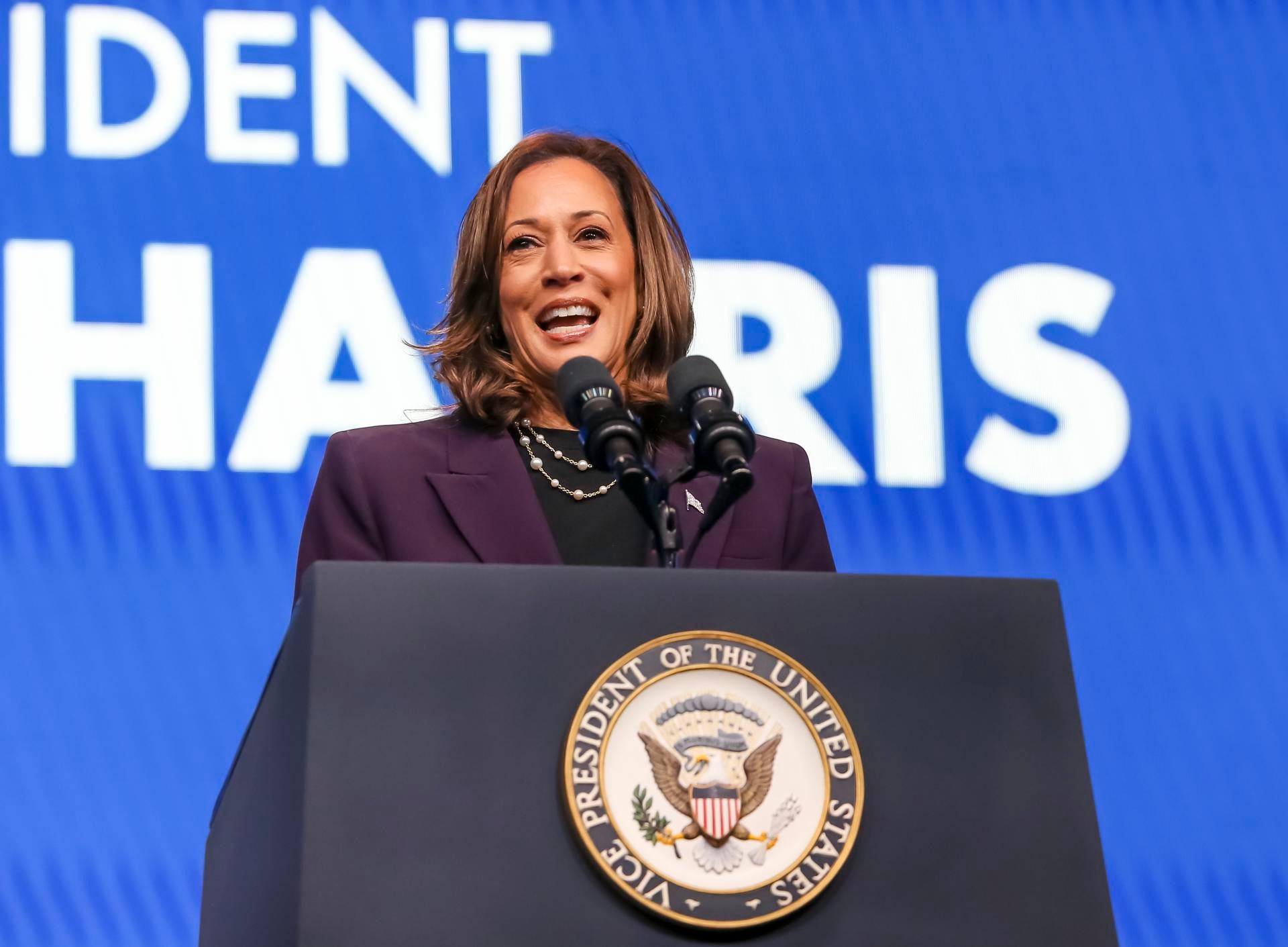 Kamala Harris busca en la Convención Demócrata de Chicago el impulso definitivo para la batalla contra Trump Kamala Harris busca en la Convención Demócrata de Chicago el impulso definitivo para la batalla contra Trump