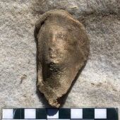 Cabecita romana de Terracota, hallada en Otero de Herreros 