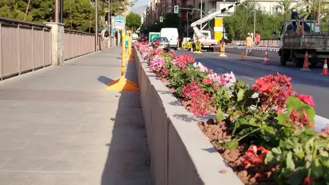 Las flores vuelven al puente de Altamira para las fiestas de Elche Las flores vuelven al puente de Altamira para las fiestas de Elche