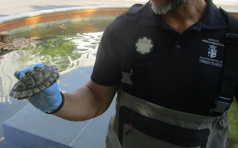 Más de uno Alcalá 07/08/2024 Más de uno Alcalá 07/08/2024