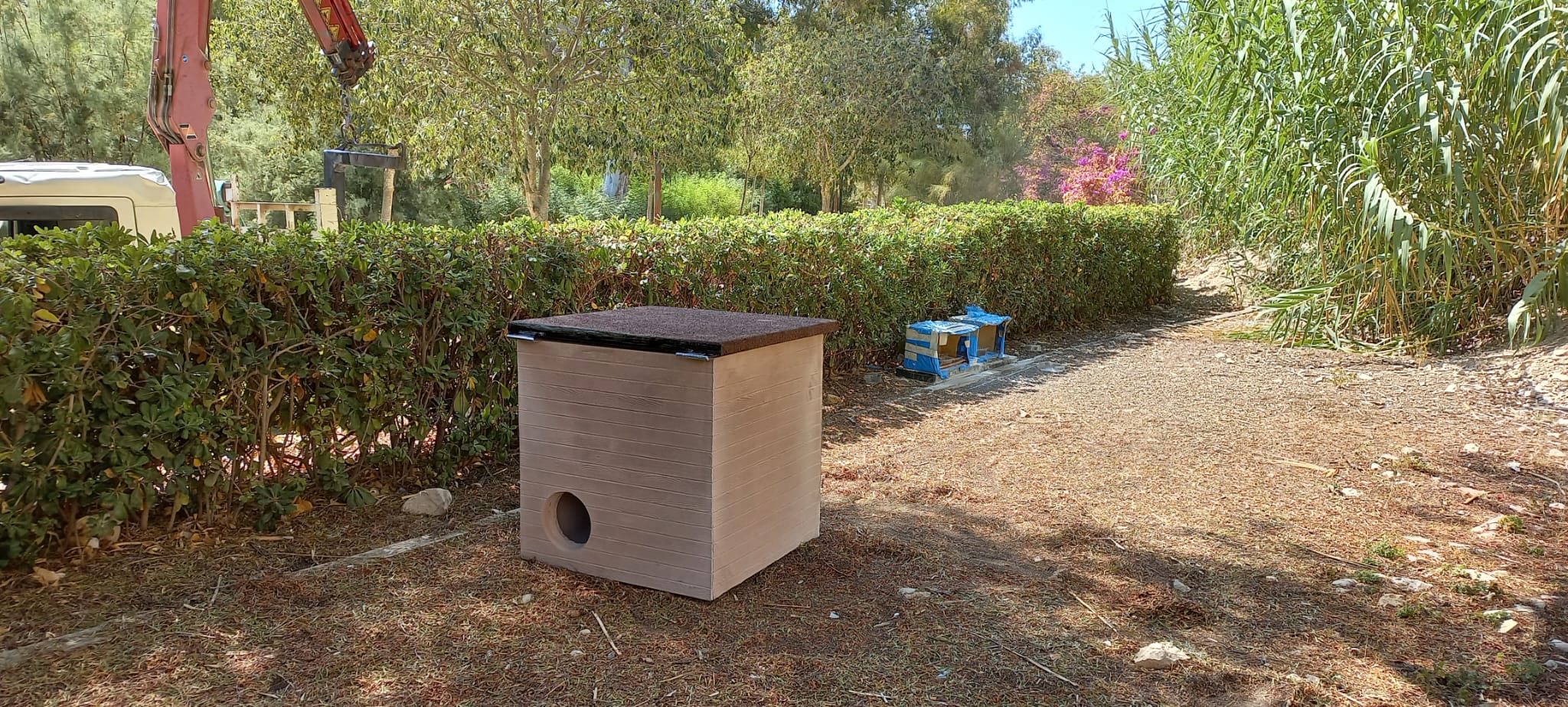 Villajoyosa activa un proyecto piloto para controlar la alimentación de los gatos callejeros Villajoyosa activa un proyecto piloto para controlar la alimentación de los gatos callejeros