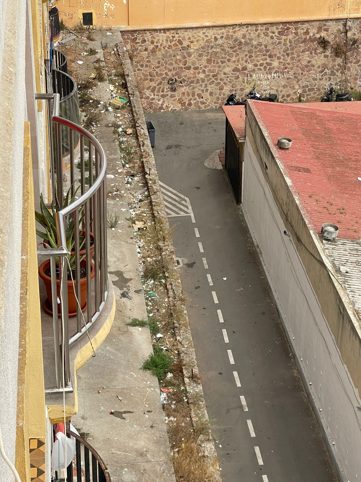 Más de uno Ceuta 8/8/24 Más de uno Ceuta 8/8/24