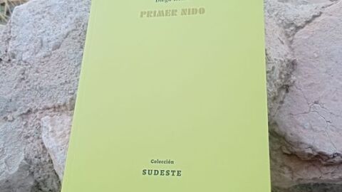 diego reche-primer nido