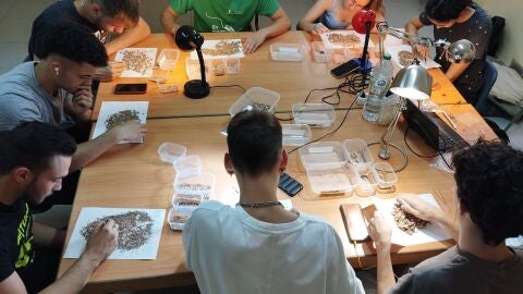 Los j&oacute;venes que est&aacute;n recuperando restos arqueol&oacute;gicos en Terrinches