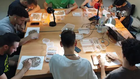 Los jóvenes que están recuperando restos arqueológicos en Terrinches Los jóvenes que están recuperando restos arqueológicos en Terrinches