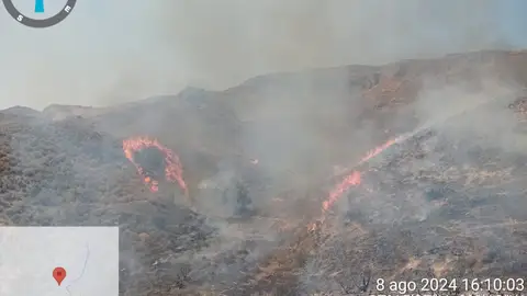 Imagen del incendio declarado en el paraje de La Loma en el término municipal de Antas Imagen del incendio declarado en el paraje de La Loma en el término municipal de Antas