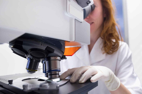 Incubadoras de empresas de alta tecnología para los sectores agroalimentario, medioambiental y médico Incubadoras de empresas de alta tecnología para los sectores agroalimentario, medioambiental y médico