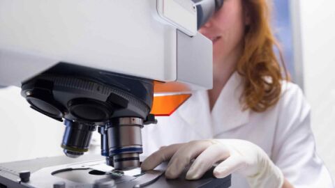 Incubadora de empresas Biotech