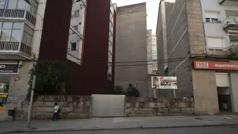 Denuncian arboricidio na Avenida Castelao de Ourense Denuncian arboricidio na Avenida Castelao de Ourense