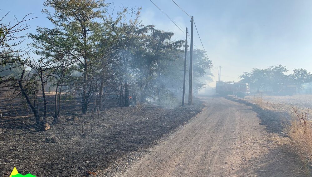 Incendio de La Poblachuela