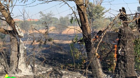 Incendio en La Poblachuela