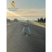 Obstáculos localizaos en la carretera