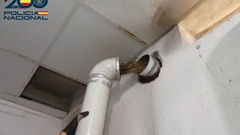 Una anidación en el tubo de evacuación de gases causa de la muerte de un turista en Palma Una anidación en el tubo de evacuación de gases causa de la muerte de un turista en Palma