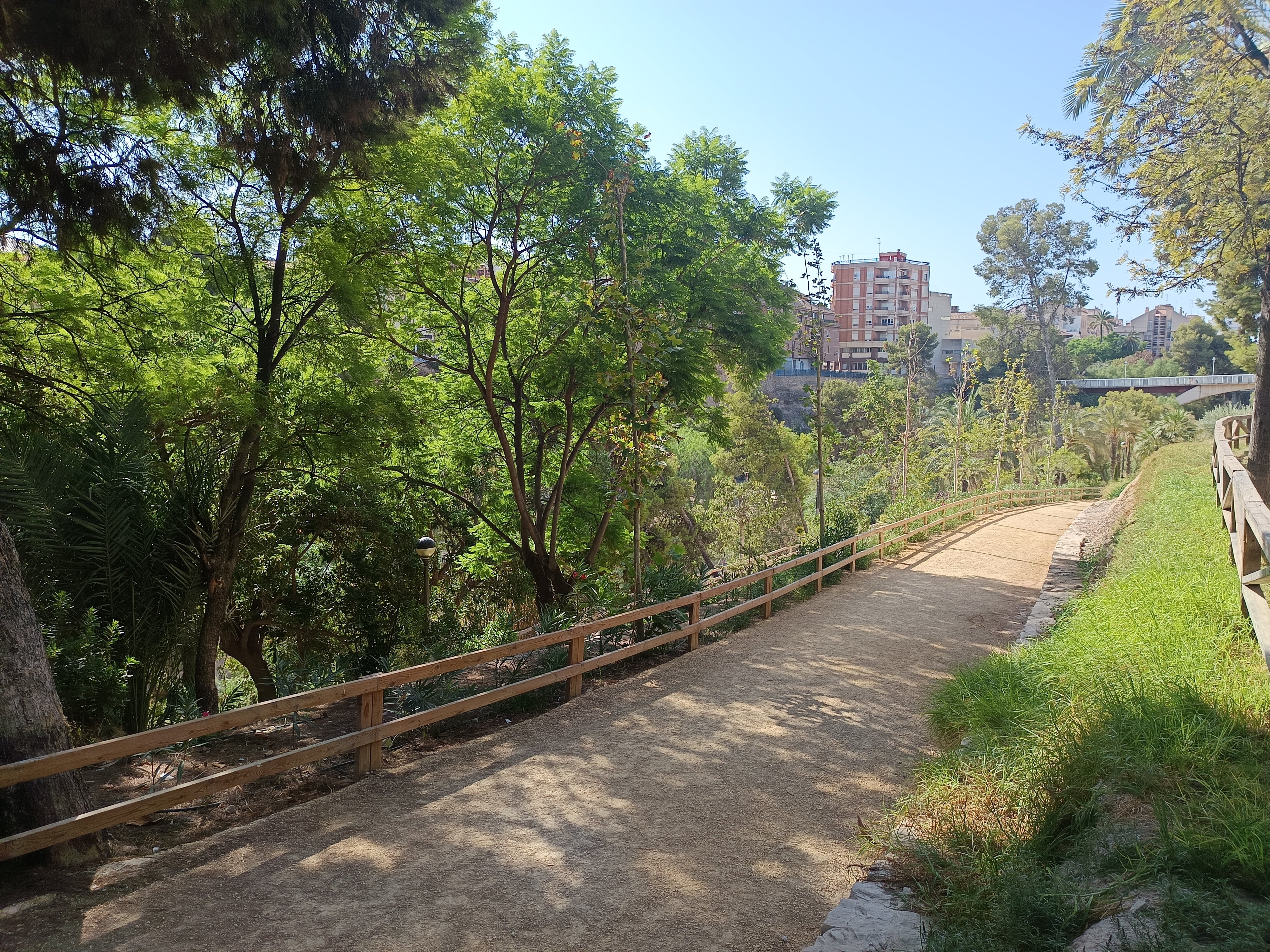 El tiempo este jueves en Elche, Crevillent y Santa Pola: repuntan las temperaturas y llega calima El tiempo este jueves en Elche, Crevillent y Santa Pola: repuntan las temperaturas y llega calima