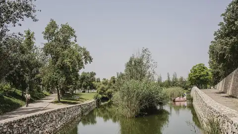 Proyecto de zonas verdes Proyecto de zonas verdes