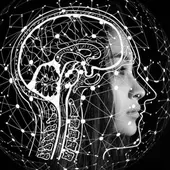 Ilustración del cerebro combinado con notas musicales Ilustración del cerebro combinado con notas musicales
