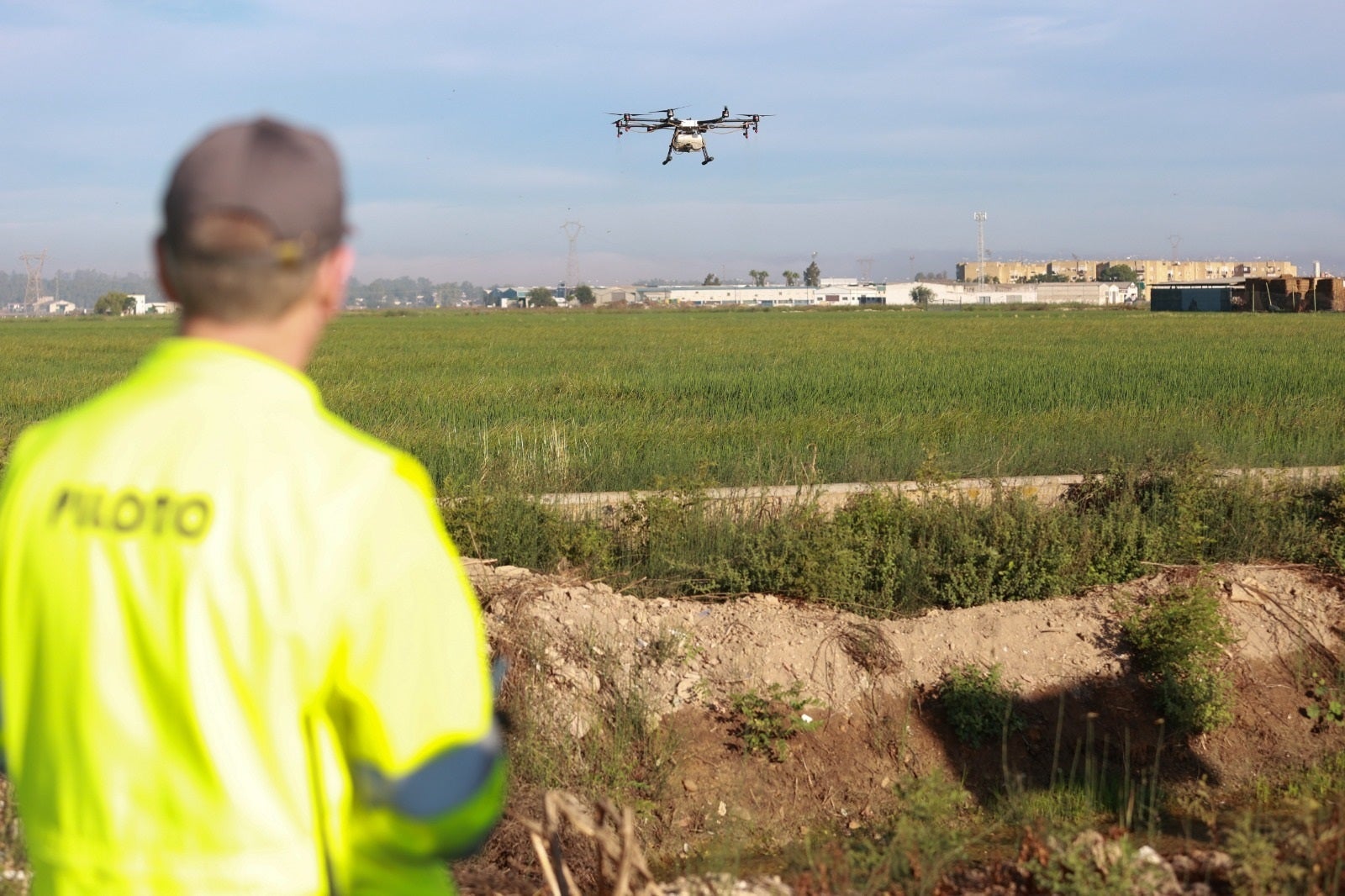 Los arrozales de Sevilla serán tratados con drones contra el virus del Nilo Los arrozales de Sevilla serán tratados con drones contra el virus del Nilo