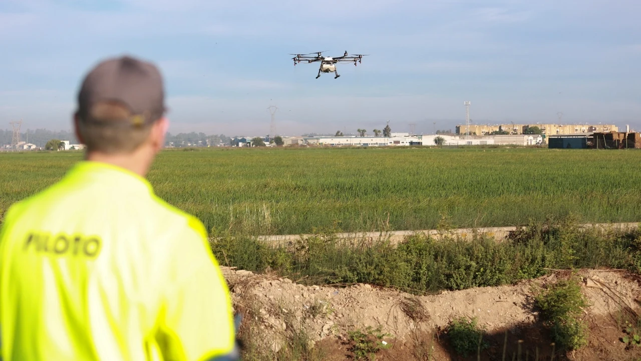 Tareas contra los mosquitos mediante drones