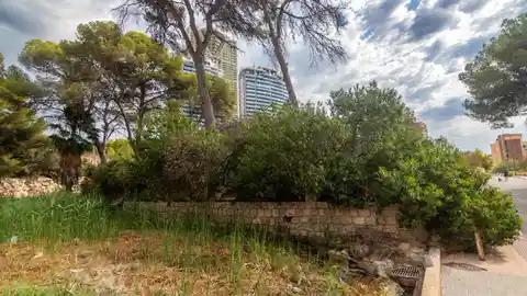 Benidorm prepara los cauces de sus barrancos de cara a gotas frías y lluvias torrenciales Benidorm prepara los cauces de sus barrancos de cara a gotas frías y lluvias torrenciales