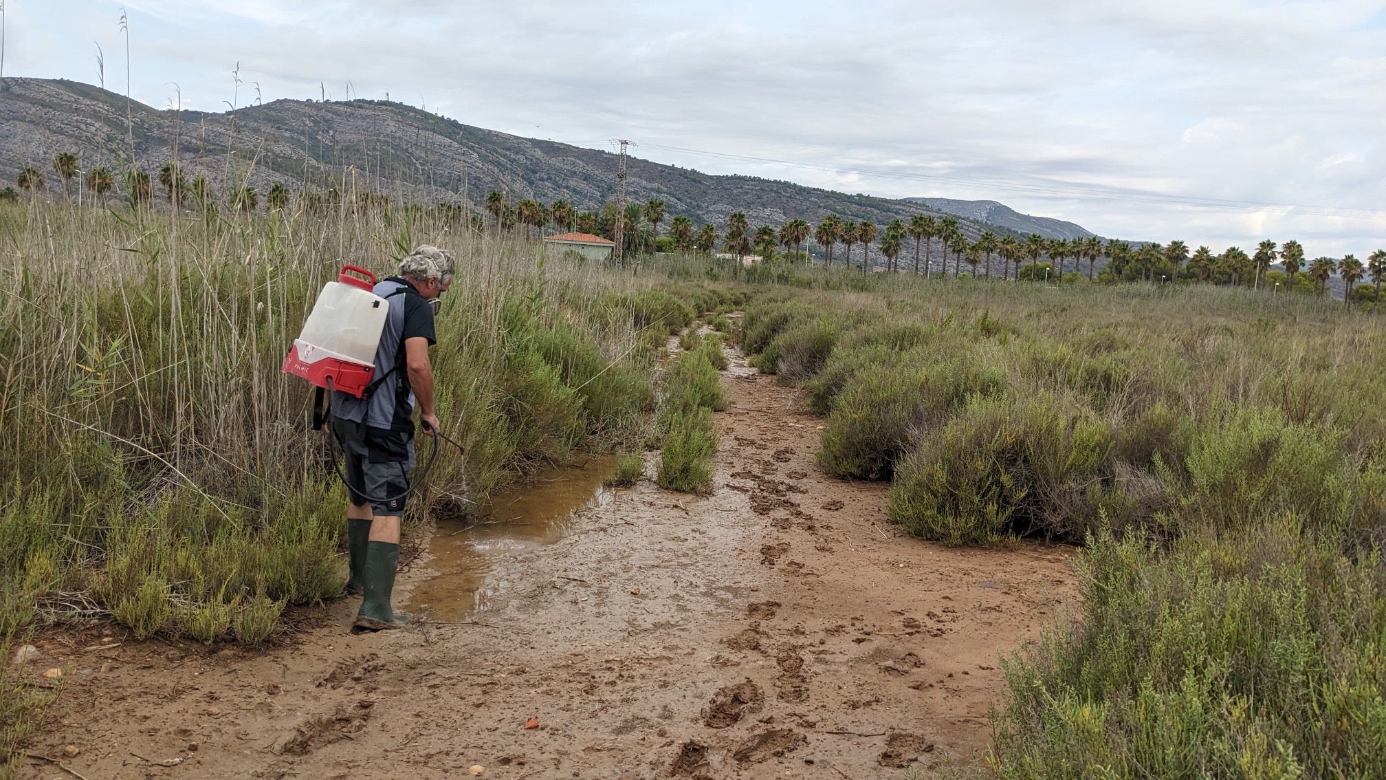 ¿Cómo pueden los ciudadanos solicitar al Ayuntamiento de Málaga el control de plagas de insectos o roedores? ¿Cómo pueden los ciudadanos solicitar al Ayuntamiento de Málaga el control de plagas de insectos o roedores?